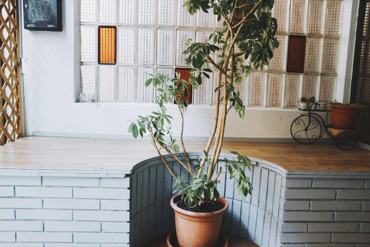 Harmony Hostel 巴塞罗那 外观 照片